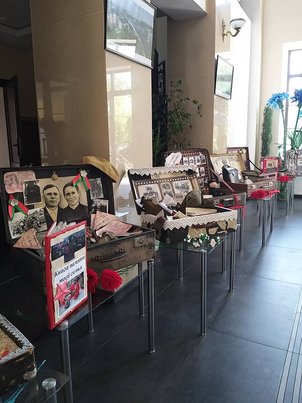 Новобелица проект гомель